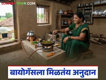 सिलिंडरची चिंता कशाला? आता बायोगॅसला मिळतंय अनुदान, कसा घ्याल फायदा? वाचा सविस्तर - Marathi News | Why worry about cylinders? Now biogas is getting subsidy, how to take advantage? Read in detail | Latest News at Lokmat.com