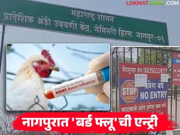 Bird Flu Alert in Nagpur : नागपुरात बर्ड फ्लूची एन्ट्री; 'या' भागात २१ दिवस कडक निर्बंध - Marathi News | latest news Bird Flu Alert in Nagpur: Bird flu enters Nagpur; Strict restrictions in ‘this’ area for 21 days | Latest News at Lokmat.com