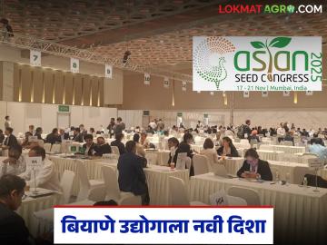 आशियाई देशांच्या सीड परिषद, भारताची बियाणे निर्यात 800 कोटीवरून 5 हजार कोटीवर नेण्याचे उद्दिष्ट  - Marathi News | Latest News Asian Seed Council aims to increase India's seed exports from Rs 800 crore to Rs 5 thousand crore | Latest farming-ideas News at Lokmat.com