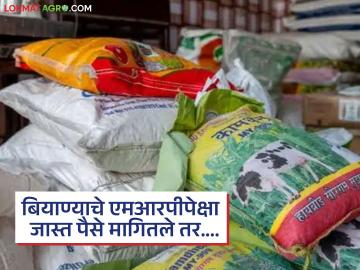 Biyane Kharedi : शेतकऱ्यांनो! बियाणे खरेदी करतांना एमआरपीपेक्षा जास्त पैसे मागितल्यास.... - Marathi News | Latest News Agriculture News Farmers Do not buy seeds at price higher than MRP, | Latest News at Lokmat.com Biyane Kharedi : शेतकऱ्यांनो! बियाणे खरेदी करतांना एमआरपीपेक्षा जास्त पैसे मागितल्यास.... - Marathi News | Latest News Agriculture News Farmers Do not buy seeds at price higher than MRP, | Latest News at Lokmat.com