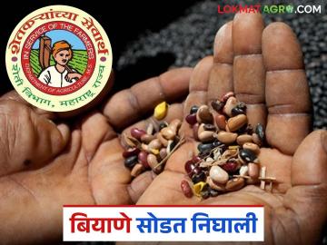 Mahadbt Biyane : महाडीबीटीची बियाणे सोडत निघाली, लाभार्थी यादी आली, वाचा सविस्तर - Marathi News | latest News MahaDBT seeds scheme released, beneficiary list released, read in detail | Latest News at Lokmat.com Mahadbt Biyane : महाडीबीटीची बियाणे सोडत निघाली, लाभार्थी यादी आली, वाचा सविस्तर - Marathi News | latest News MahaDBT seeds scheme released, beneficiary list released, read in detail | Latest News at Lokmat.com