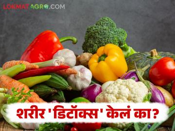 Body Detox : दिवाळीत तोंड गोड केलं असेल ना? तर आता शरीर स्वच्छ करून घ्या, नाहीतर आजारपण येईल - Marathi News | Body Detox: Did Diwali make your mouth sweet? So clean your body now, otherwise illness will come | Latest News at Lokmat.com