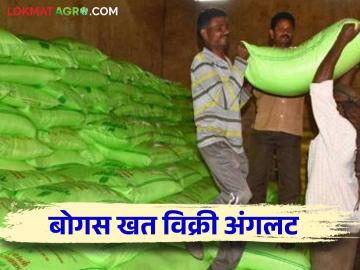 Bogus Fertilizer Sale Case : काय सांगताय! खताऐवजी चक्क मातीची विक्री? वाचा सविस्तर  - Marathi News | Bogus Fertilizer Sale Case: What is the sale of soil instead of fertilizer? Read in detail  | Latest News at Lokmat.com