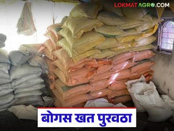 शेतकऱ्यांना बोगस खतांचा पुरवठा, कारवाई होऊनही बोगस खत पुन्हा मार्केटमध्ये, वाचा सविस्तर  - Marathi News | Latest news Supply of bogus fertilizers to farmers, despite action, bogus fertilizers are back in the market, read in detail | Latest News at Lokmat.com