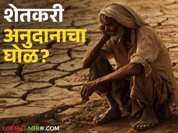 Shetkari Anudan: शेतकऱ्यांच्या अनुदान वाटपाची होणार चौकशी; जाणून घ्या काय आहे प्रकरण सविस्तर - Marathi News | Shetkari Anudan: latest news There will be an inquiry into the distribution of subsidies to farmers; Find out what the case is in detail | Latest News at Lokmat.com
