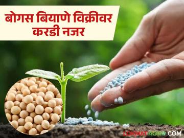 Kharif season : शेतकऱ्यांसाठी जिल्हास्तरीय तक्रार निवारण कक्ष कार्यान्वित; विक्री केंद्रांवर 'या' सुविधा अनिवार्य वाचा सविस्तर - Marathi News | Kharif season: latest news District level grievance redressal cell operational for farmers; 'these' facility mandatory at sales centres Read in detail | Latest News at Lokmat.com