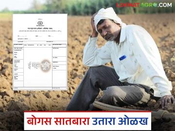 Bogus Satbara Utara : बोगस सातबारा उतारा कसा ओळखायचा? 'या' तीन गोष्टी नक्की पहा! - Marathi News | Latest News How to identify bogus Satbara Utara Check out these three things! | Latest News at Lokmat.com