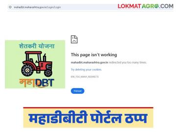 Mahadbt Portal : महाडीबीटी पोर्टल ठप्प; अनेक योजनांचे अनुदान रखडले, कधीपर्यंत सुरु होईल! - Marathi News | latest News Agriculture News MahaDBT portal server down; many schemes Grants stopped | Latest News at Lokmat.com