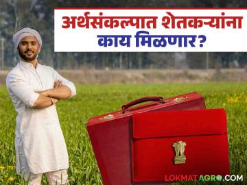 Union Budget 2025 : अर्थसंकल्पाच्या पोतडीतून शेतकऱ्यांना मिळणार आहे तरी काय? वाचा सविस्तर - Marathi News | Union Budget 2025: What will farmers get from this year's budget package? Read in detail | Latest News at Lokmat.com