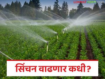 Buldhana Sinchan Prakalpa : सिंचन आहे पण वापर नाही; शेतकऱ्यांना फायदा का होत नाही? - Marathi News | latest news Buldhana Sinchan Prakalpa: There is irrigation but no use; Why are farmers not benefiting? | Latest News at Lokmat.com