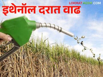 C Heavy Ethanol Price : सी हेवी इथेनॉलच्या दरात १.६९ रुपयांची वाढ - Marathi News | C Heavy Ethanol Price : C Heavy Ethanol price increased by Rs 1.69 | Latest News at Lokmat.com