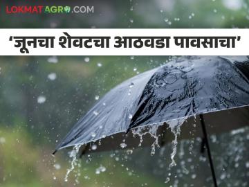 Maharashtra Rain : शेतकऱ्यांसाठी आनंदाची बातमी! जूनचा शेवटचा आठवडा असणार पावसाचा - Marathi News | Maharashtra Rain : Good news for farmers! Next week will be rainy in the state | Latest agriculture News at Lokmat.com