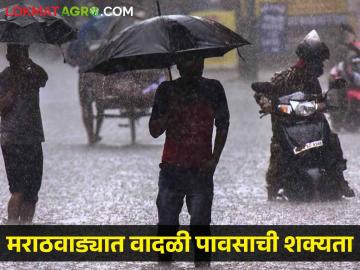 Marathwada Rain update: नांदेड, लातूरसह मराठवाड्यातील या जिल्ह्यांमध्ये वादळी पावसाची शक्यता - Marathi News | Marathwada Rain update: Thunderstorm likely in these districts of Marathwada including Nanded, Latur | Latest News at Lokmat.com