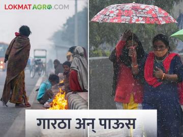 हिवाळ्यात अवकाळी! राज्यात कुठे कुठे झाला पाऊस? - Marathi News | Unseasonal in winter! Where did it rain in the state? | Latest News at Lokmat.com