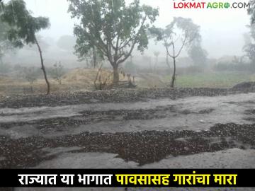 Hailstorm: राज्यात विदर्भासह या भागात पावसासह गारांचा मारा, जाणून घ्या.. - Marathi News | Hailstorm: Hailstorm with rain in these parts of the state including Vidarbha, know.. | Latest News at Lokmat.com