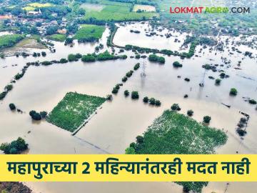 Flood : महापूर येऊन सव्वादोन महिने उलटले; नदीकाठ मात्र सरकारच्या मदतीपासून वंचित - Marathi News | Flood: Two and a half months after the great flood | Latest agriculture News at Lokmat.com