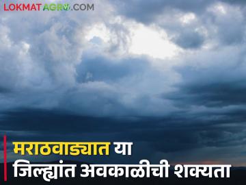 मराठवाड्यातील या जिल्ह्यांत मेघगर्जनेसह पावसाची शक्यता, तूरळक ठिकाणी गारपीटही... - Marathi News | In these districts of Marathwada, there is a chance of rain with thunder, hailstorm at isolated places... | Latest News at Lokmat.com