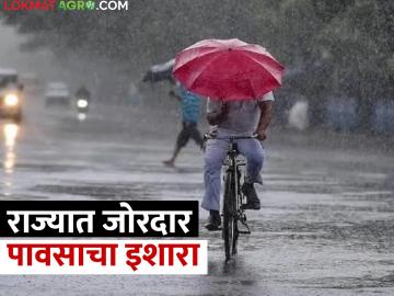 Rain Alert: राज्यात विजांच्या कडकडाटासह जोरदार पावसाचा अलर्ट, हवमान विभागाचा अंदाज काय? - Marathi News | Rain Alert: Heavy rain alert with lightning in the Maharashtra, what is the prediction of the Meteorological Department? | Latest News at Lokmat.com
