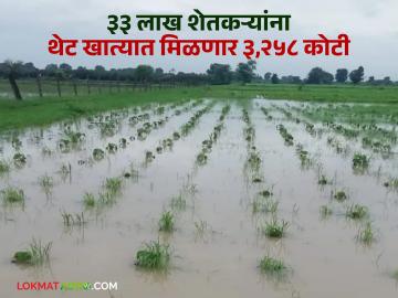 पॅकेज मदतनिधी अंतर्गत ३३ लाख शेतकऱ्यांच्या थेट खात्यात ३,२५८ कोटी जाणार; पुनर्वसनमंत्री मकरंद जाधव-पाटील - Marathi News | 3,258 crores will go directly to the accounts of 33 lakh farmers under the package relief fund; Rehabilitation Minister Makarand Jadhav-Patil | Latest News at Lokmat.com पॅकेज मदतनिधी अंतर्गत ३३ लाख शेतकऱ्यांच्या थेट खात्यात ३,२५८ कोटी जाणार; पुनर्वसनमंत्री मकरंद जाधव-पाटील - Marathi News | 3,258 crores will go directly to the accounts of 33 lakh farmers under the package relief fund; Rehabilitation Minister Makarand Jadhav-Patil | Latest News at Lokmat.com