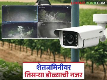 Protecting Crops : पिकांवर आता राहणार घर बसल्या नजर; जाणून घ्या काय आहे कारण सविस्तर - Marathi News | Protecting Crops: Now you will have to keep an eye on agricultural crops from home; Know what is the reason in detail | Latest News at Lokmat.com