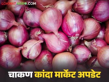 चाकण बाजारात गेल्या आठवड्याच्या तुलनेत कांदा आवक वाढली; वाचा नं १ कांद्याला काय मिळतोय दर? - Marathi News | Kanda Market : Onion arrivals at Chakan market have increased compared to last week; Read No. 1 What is the price being obtained? | Latest News at Lokmat.com