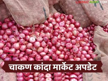 चाकण बाजारात ९ हजार क्विंटल कांद्याची आवक: वाचा नंबर १ कांद्याला काय मिळाला दर? - Marathi News | Arrival of 9 thousand quintals of onion in Chakan market: Read what price did number 1 onion get? | Latest News at Lokmat.com चाकण बाजारात ९ हजार क्विंटल कांद्याची आवक: वाचा नंबर १ कांद्याला काय मिळाला दर? - Marathi News | Arrival of 9 thousand quintals of onion in Chakan market: Read what price did number 1 onion get? | Latest News at Lokmat.com