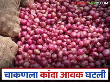 Kanda Market : चाकण बाजार समितीत कांद्याची आवक घटली; कसा मिळाला दर? - Marathi News | Kanda Market : Onion arrivals in Chakan Market Committee decreased; How did you get the price? | Latest News at Lokmat.com