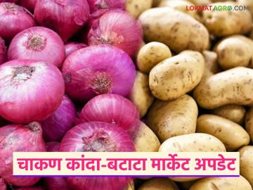 Kanda Bajar Bhav : चाकण बाजारात कांदा, बटाट्याची विक्रमी आवक; कसा मिळाला दर? - Marathi News | Kanda Bajar Bhav : Record arrival of onion, potato in Chakan market committee; How did the price get? | Latest News at Lokmat.com