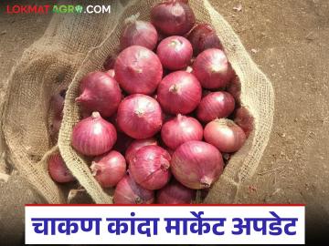 Kanda Market : चाकण बाजार समितीत कांद्याची आवक घटली; कसा मिळाला दर? - Marathi News | Kanda Market : Onion arrivals in Chakan Market Committee decreased; How did you get the price? | Latest News at Lokmat.com