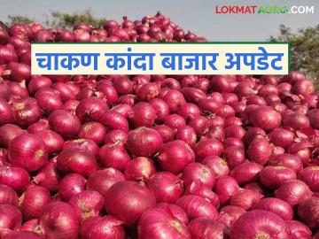 Kanda Market : चाकण बाजार समितीत कांद्याची आवक स्थिर; वाचा कसा मिळतोय दर? - Marathi News | Kanda Market : Onion arrivals in Chakan Market Committee stable; Read how are prices being obtained? | Latest News at Lokmat.com