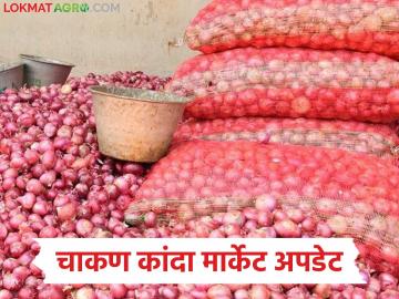 चाकण बाजारात कांद्याची १२ हजार क्विंटल आवक; वाचा नंबर १ कांद्याला काय मिळाला दर? - Marathi News | 12,000 quintals of onion arrived at Chakan market; Read what price did number 1 onion get? | Latest News at Lokmat.com
