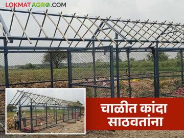 Kanda Sathvanuk : कांदा चाळीत साठवताना थर कसे लावावेत? जेणेकरून कांदा जास्त काळ टिकेल - Marathi News | Latest News Kanda Sathvanuk How to layer onions when storing them in kanda chal see details | Latest News at Lokmat.com Kanda Sathvanuk : कांदा चाळीत साठवताना थर कसे लावावेत? जेणेकरून कांदा जास्त काळ टिकेल - Marathi News | Latest News Kanda Sathvanuk How to layer onions when storing them in kanda chal see details | Latest News at Lokmat.com