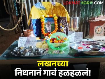 बैलाविषयी अनोखं प्रेम! २२ वर्षांची साथ एका क्षणांत तुटली, 'लखन'चा निधनाने गाव हळहळलं!  - Marathi News | Latest news heartfelt farewell to Bull who has been with you for 22 years in chandrapur | Latest News at Lokmat.com