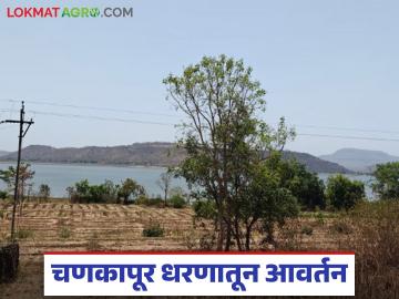 चणकापूर धरणातून पिण्यासाठी आवर्तन सुरू, गिरणा नदीकाठावरील नागरिकांना सतर्कतेचा इशारा  - Marathi News | Drinking water from Chankapur dam begins, alert issued to citizens on the banks of Girna river | Latest News at Lokmat.com