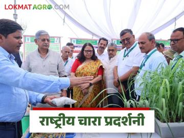 Fodder Production : देशातील 10 कोटी हेक्टर नापीक जमिनीवर चारा निर्मितीसाठी प्रयत्न, वाचा सविस्तर  - Marathi News | Latest News Efforts are being made to produce fodder on 10 crore hectares of barren land in the country, read in detail | Latest News at Lokmat.com