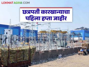छत्रपती कारखान्याकडून ऊस दराचा नवा उच्चांक; पहिला हप्ता जाहीर, कसा दिला दर? - Marathi News | New high for sugarcane price from Chhatrapati sugar factory; First installment announced, how was the price paid? | Latest News at Lokmat.com