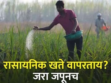 अधिक पिक उत्पादनासाठी रासायनिक खतांचा भडिमार टाळा - Marathi News | Avoid bombardment of chemical fertilizers for more crop production | Latest News at Lokmat.com
