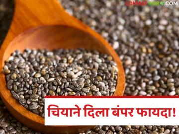 Chia Market :शेतकरी झाले मालामाल! ‘या’ पिकाला मिळाला विक्रमी भाव - Marathi News | latest news Chia Market: Farmers became rich! This crop got a record priceChia Market: Farmers became rich! This crop got a record price | Latest News at Lokmat.com