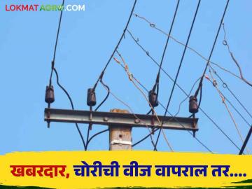 Agriculture News : वीज चोरी करून शेतीच्या कुंपणात वीज प्रवाह सोडल्यास कारवाई, महावितरणचा इशारा  - Marathi News | Latest News Agriculture News light is left in agricultural area, action will be taken by Mahavitran | Latest News at Lokmat.com