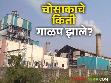 Chopda Sugar Factory : आतापर्यंत 'चोसाका'चे 36 हजार मेट्रिक टन गाळप, वाचा सविस्तर - Marathi News | Latest News Chopda Sugar Factory 36 thousand metric tons of 'Chosaka' crushed so far, read in detail | Latest News at Lokmat.com Chopda Sugar Factory : आतापर्यंत 'चोसाका'चे 36 हजार मेट्रिक टन गाळप, वाचा सविस्तर - Marathi News | Latest News Chopda Sugar Factory 36 thousand metric tons of 'Chosaka' crushed so far, read in detail | Latest News at Lokmat.com