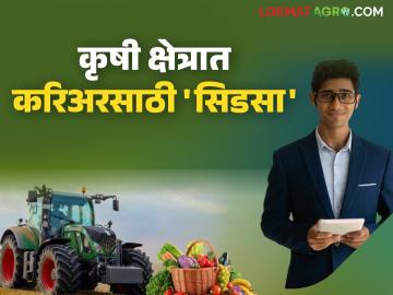 शेतकऱ्यांना आधुनिक तंत्रज्ञान अन् तरुणांना कृषी क्षेत्रात करिअर; राज्यात १२ सिडसा केंद्रांना मान्यता - Marathi News | Modern technology for farmers and career in agriculture for youth; 12 CIDSA centers approved in the state | Latest News at Lokmat.com शेतकऱ्यांना आधुनिक तंत्रज्ञान अन् तरुणांना कृषी क्षेत्रात करिअर; राज्यात १२ सिडसा केंद्रांना मान्यता - Marathi News | Modern technology for farmers and career in agriculture for youth; 12 CIDSA centers approved in the state | Latest News at Lokmat.com