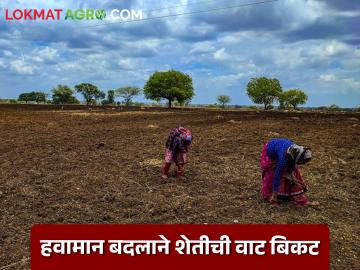 देशात दोन हेक्टरपेक्षा कमी जमीन असणाऱ्या शेतकऱ्यांच्या संख्येत मोठी वाढ; शेतीपुढे 'हे' मोठं आव्हान - Marathi News | There has been a significant increase in the number of farmers with less than two hectares of land in the country; This is a big challenge for agriculture | Latest News at Lokmat.com