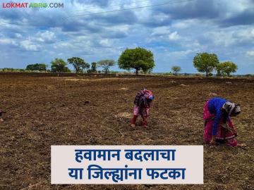 राज्यात या जिल्ह्यांमध्ये सातत्याने दुष्काळ, अनियमित पाऊस, उष्णतेच्या लाटांचा धोका; वाचा सविस्तर - Marathi News | These districts in the state are at risk of continuous drought, irregular rains, and heat waves; Read in detail | Latest News at Lokmat.com राज्यात या जिल्ह्यांमध्ये सातत्याने दुष्काळ, अनियमित पाऊस, उष्णतेच्या लाटांचा धोका; वाचा सविस्तर - Marathi News | These districts in the state are at risk of continuous drought, irregular rains, and heat waves; Read in detail | Latest News at Lokmat.com