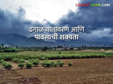 कुठे पाऊस तर कुठे ढगाळ हवामान, काय सांगतोय हवामान अंदाज  - Marathi News | Latest News Chance of rain in Vidarbha for three days see details Forecast | Latest News at Lokmat.com