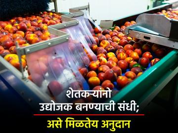 मुख्यमंत्री कृषि व अन्न प्रकिया योजना पुढील पाच वर्षासाठी मान्यता - Marathi News | Approval of Chief Minister Agriculture and Food Processing Scheme for the next five years | Latest News at Lokmat.com