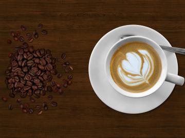 नगदी पिकांवर आधारित उद्योग आणणार भरभराट - Marathi News | Industries based on cash crops will bring prosperity | Latest News at Lokmat.com नगदी पिकांवर आधारित उद्योग आणणार भरभराट - Marathi News | Industries based on cash crops will bring prosperity | Latest News at Lokmat.com