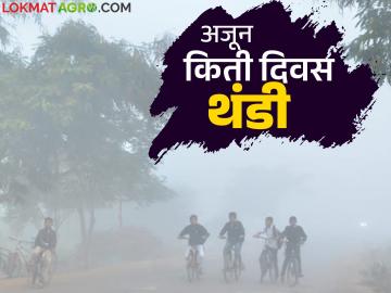 Maharashtra Weather Update : बंगालच्या उपसागरात कमी दाबाचा पट्टा; कसा राहील थंडीचा अंदाज - Marathi News | Maharashtra Weather Update : Low pressure area in the Bay of Bengal; How will the cold weather be forecasted? | Latest News at Lokmat.com