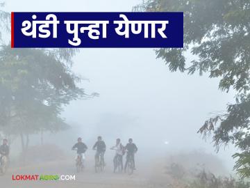 Maharashtra Weather Update : उत्तरेकडून वाहणाऱ्या वाऱ्यामुळे थंडी पुन्हा जोर धरणार; कसा असेल थंडीचा अंदाज - Marathi News | Maharashtra Weather Update : Due to northerly wind, cold will intensify again; How is the winter forecast? | Latest News at Lokmat.com