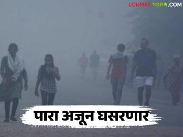 पुढील तीन दिवस किमान तापमान आणखी घसरणार; राज्यात कुठे किती तापमान? - Marathi News | The minimum temperature will drop further in the next three days; What is the temperature in different parts of the state? | Latest weather News at Lokmat.com