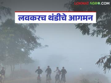 राज्यात अजून किती दिवस पावसाचा अंदाज; कधीपासून सुरु होणार थंडी? वाचा सविस्तर - Marathi News | How many more days of rain are expected in the state; When will the cold start? Read in detail | Latest News at Lokmat.com